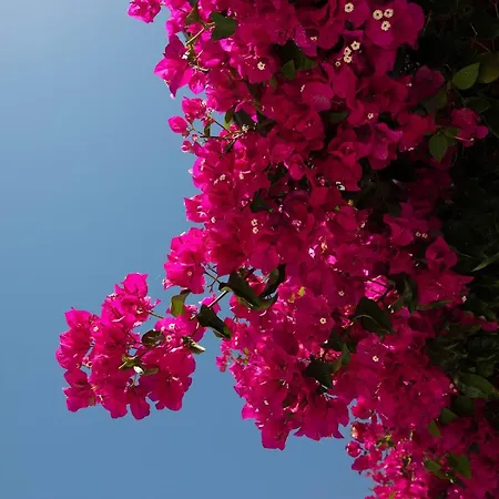 Villa Casa Sol Estepona